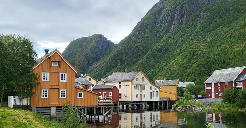 Medlemsnytt